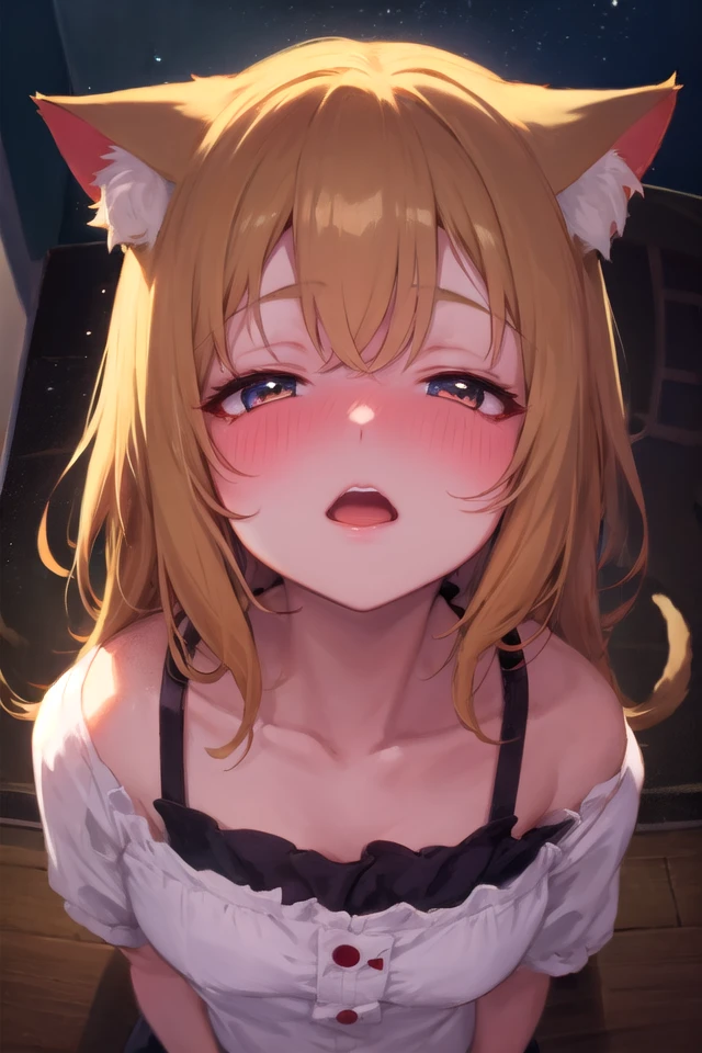 1girl, solo, masterpiece, best quality, unity 8k wallpaper, illustration, ultra-detailed, <lora:torogao_v3-000010:1.4>, full-face blush, indoors, dark, night, shadow, indoors, size difference, (looking up:1.4), upper body, cat ears, (from above:1.4)