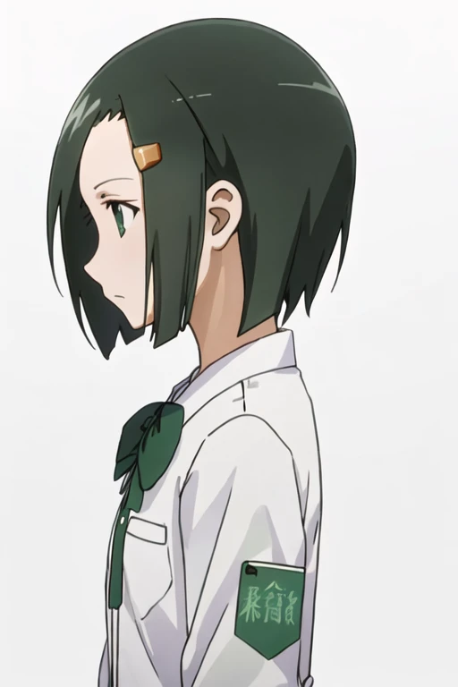 best quality, masterpiece, highres, solo, {hata_ranko_seitokaiyakuindomo:1.15}, short_hair, hair_ornament, hairclip, black_hair, green_hair, bow, 1girl, expressionless, profile, simple_background, upper_body, white_background, from_side