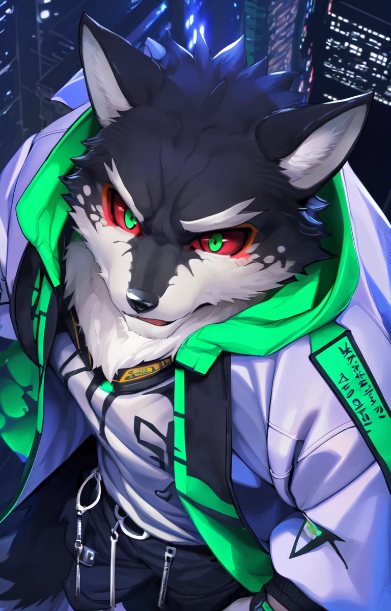 monomasa, furry, male, solo focus, wolf, tail, by kiyosan, by yupa, by Pino Daeni, (by null-ghost:0.8), (by drks:0.2), white hooded coat, pants, detailed eyes, black pupils, green eyes, red sclera, (yellow eyeshadow:0.8), cityscape, night, close-up, high-angle view, <lora:monomasa-000008:1>