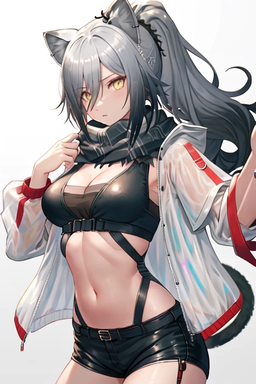 best quality, masterpiece, highres, solo, {schwarz_arknights:1.15}, animal_ears, grey_hair, long_hair, cat_ears, bangs, yellow_eyes, ponytail, breasts, hair_between_eyes, upper_body, cleavage, large_breasts, 1girl, black_scarf, crop_top, jacket, looking_at_viewer, midriff, navel, open_clothes, open_jacket, scarf, shorts, white_jacket, black_shorts, long_sleeves, see-through, medium_breasts, stomach