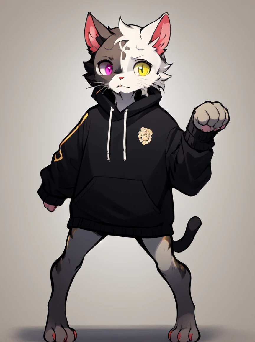 masterpiece, best quality, hires, <lora:Chimera_cat:0.8>, chimera_cat, feline, cat, divided face, half yellow, half gray, solo, fullbody, anthro, furry, heterochromia,