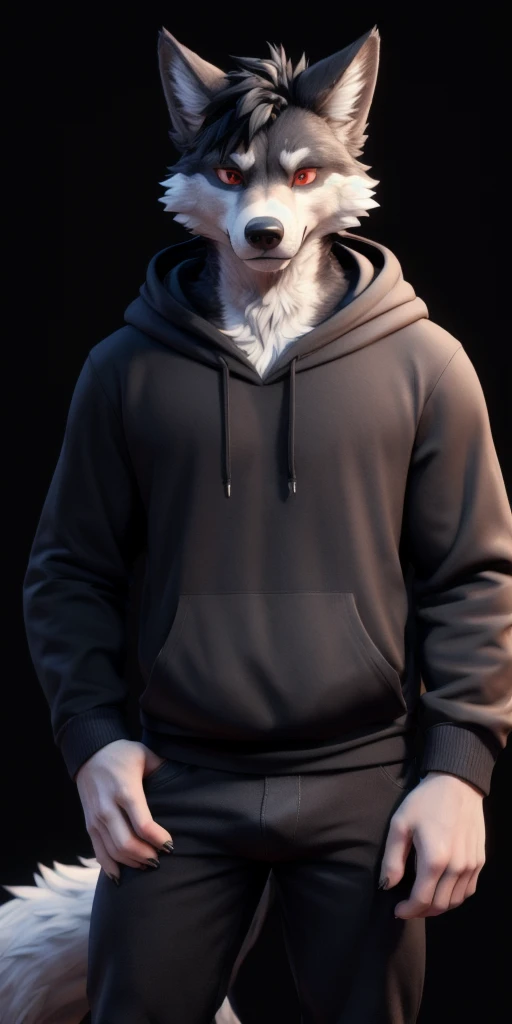 ((masterpiece, best quality:1.4)), bokeh, fluffy, 3d, animal hands,
furry male, solo, anthro, wolf boy, cowboy shot, hand on hip,
black hair, grey fur, red eyes, short hair, black hoodie, long sleeves, long tail, black pants, bulge,
black background,