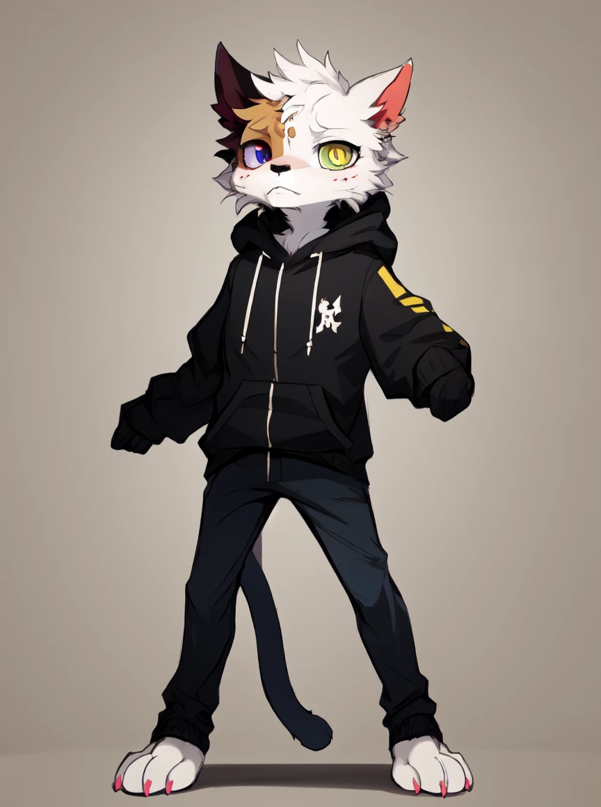 masterpiece, best quality, hires, <lora:Chimera_cat:0.8>, chimera_cat, feline, cat, divided face, half yellow, half gray, solo, fullbody, anthro, furry, heterochromia,
