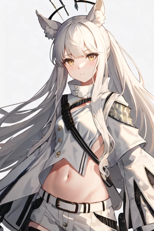 best quality, masterpiece, highres, solo, {platinum_arknights:1.15}, animal_ears, long_hair, bangs, horse_ears, white_hair, animal_ear_fluff, yellow_eyes, upper_body, very_long_hair, brown_eyes, 1girl, closed_mouth, jacket, looking_at_viewer, white_jacket, high_collar, simple_background, white_background