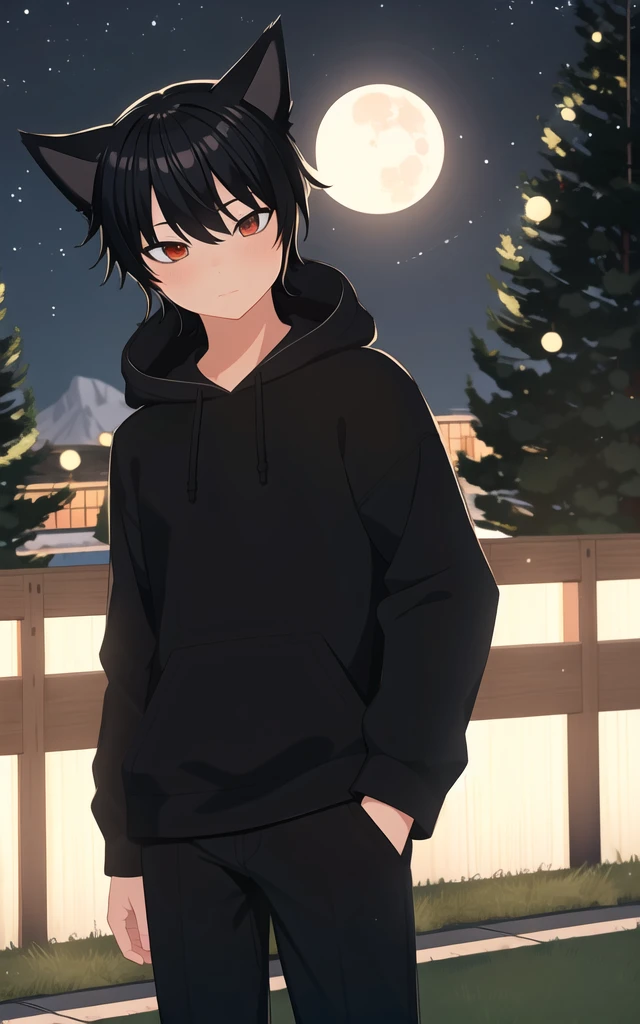 (masterpiece:1.2),best quality, masterpiece, highres, original, extremely detailed wallpaper, bokeh,
1boy, solo, cowboy shot, looking at viewer, :|,
<lora:Robin_Akiyama:0.7> robinakiyama,
black hoodie, black pants,
forest, night, full moon, moonlight, tree,