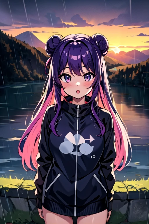 logo, logo for a discord bot, masterpiece, 4k, high quality, highly detailed, detailed face, HDR, vivid colors, natural lighting, mountains background, mountain, lake, sunset, rain, water drop, cloudy sky, 1girl, girl, solo, upper body, standing on grass, purple hair, long hair, double bun, :o, smile, from above
