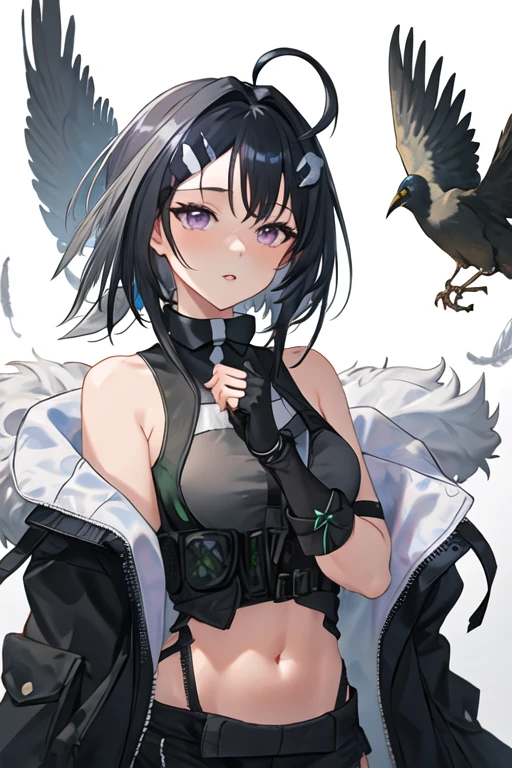 best quality, masterpiece, highres, solo, {la_pluma_arknights:1.15}, short_hair, black_hair, bangs, hair_ornament, ahoge, hairclip, breasts, hair_intakes, upper_body, medium_breasts, sleeveless, black_eyes, feather_hair, 1girl, bare_shoulders, black_gloves, fur_trim, gloves, shirt, feathers, holding, jacket, looking_at_viewer, parted_lips, purple_eyes, sleeveless_shirt, fingerless_gloves