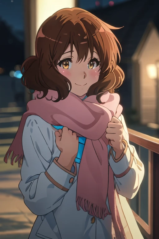 best quality, masterpiece, highres, solo, {oumae_kumiko_soundeuphonium:1.15}, brown_hair, short_hair, brown_eyes, blush, serafuku, bangs, closed_mouth, 1girl, night, pink_scarf, scarf, blurry_background, looking_at_viewer, outdoors, blurry, smile