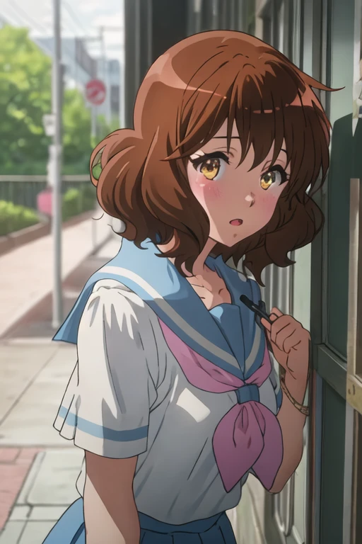 best quality, masterpiece, highres, solo, {oumae_kumiko_soundeuphonium:1.15}, brown_hair, short_hair, brown_eyes, blush, serafuku, bangs, closed_mouth, 1girl, shirt, open_mouth, white_shirt, looking_at_viewer, collarbone, instrument_case, night