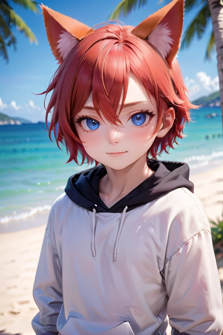 <lora:aki_sdxl_v10:0.6>,1boy, aki, crimson hair, animal ears, masterpiece, ultra detail, beach, blue eyes, cute hoodie