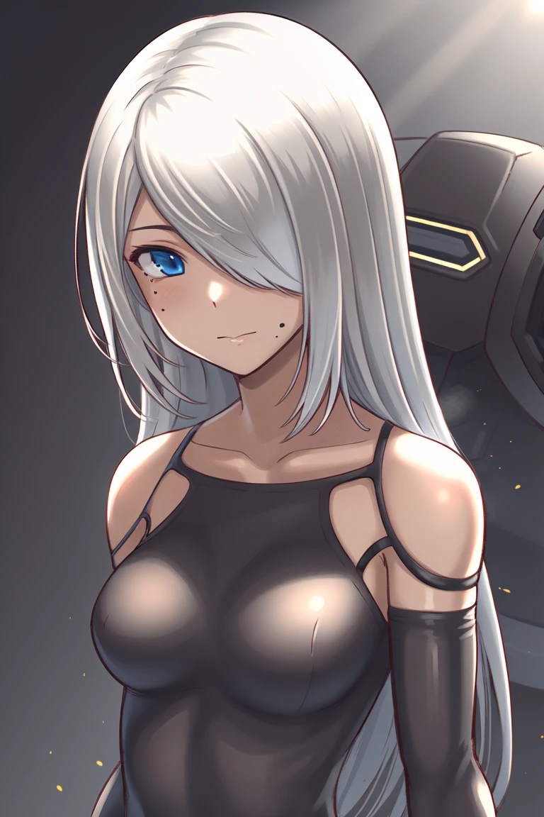 <lora:A2V3:0.7>
yorha type a no. 2
1girl, android, bare shoulders, blue eyes, fog, hair over one eye, joints, light particles, long hair, mole, mole under mouth, one eye covered, portrait, robot joints, shadow, solo, white hair robot, robot joints, mechanical parts, highres