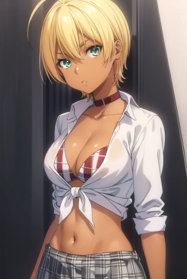 ikumimito, <lora:ikumi mito s1-lora-nochekaiser:1>,
ikumi mito, short hair, blonde hair, (green eyes:1.3), ahoge, dark skin, dark-skinned female,
BREAK skirt, shirt, navel, cleavage, swimsuit, bikini, midriff, collar, plaid, plaid skirt, tied shirt, flag print, american flag bikini,
BREAK indoors, kitchen,
BREAK looking at viewer, (cowboy shot:1.5),
BREAK <lyco:GoodHands-beta2:1>, (masterpiece:1.2), best quality, high resolution, unity 8k wallpaper, (illustration:0.8), (beautiful detailed eyes:1.6), extremely detailed face, perfect lighting, extremely detailed CG, (perfect hands, perfect anatomy),