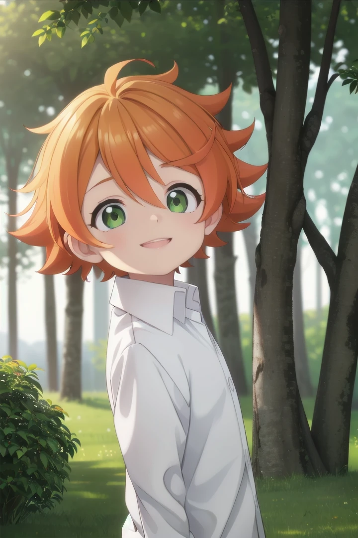 <lora:the-promised-neverland-emma-sd15-V10:0.6>
a -yeld gineverland_emma standing on a beautiful green field with trees in the background, she has green eyes, short hair and wears a long sleeved white collared shirt, she has orange hair she has a bright smile, the sun is setting, The soft lighting and detailed surroundings create an immersive environment where imagination runs wild hyper-detailed, hyper-detailed face, high quality visuals, dim Lighting, sharply focused, octane render, 8k UHD
