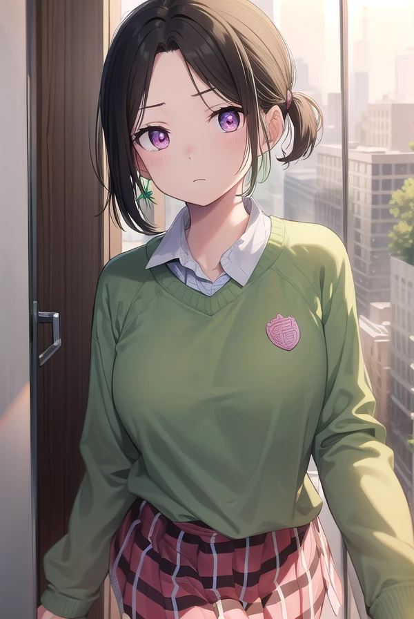 asahishounan, <lora:asahi shounan manga-lora-nochekaiser:1>,
asahi shounan, short hair, ponytail, (parted bangs:1.5), (pink eyes:1.3),
BREAK skirt, plaid, plaid skirt, sweater, long sleeves, shirt, white shirt, collared shirt, (green sweater:1.5),
BREAK indoors, classroom,
BREAK looking at viewer, (cowboy shot:1.5),
BREAK <lyco:GoodHands-beta2:1>, (masterpiece:1.2), best quality, high resolution, unity 8k wallpaper, (illustration:0.8), (beautiful detailed eyes:1.6), extremely detailed face, perfect lighting, extremely detailed CG, (perfect hands, perfect anatomy),