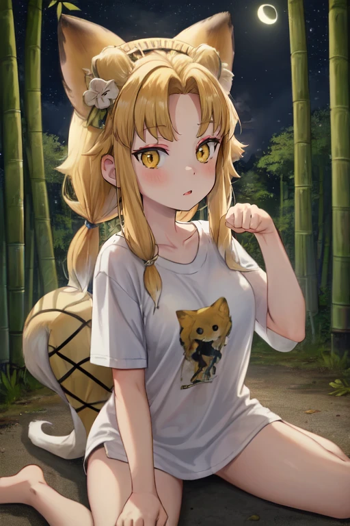 fox ears, yellow eyes, tail, blonde hair, multicolored hair, (white shirt, t-shirt, oversized shirt:1.2), wariza, paw pose
BREAK bamboo forest, night, fireflies, dark
<lora:youkoB2-08:.8>