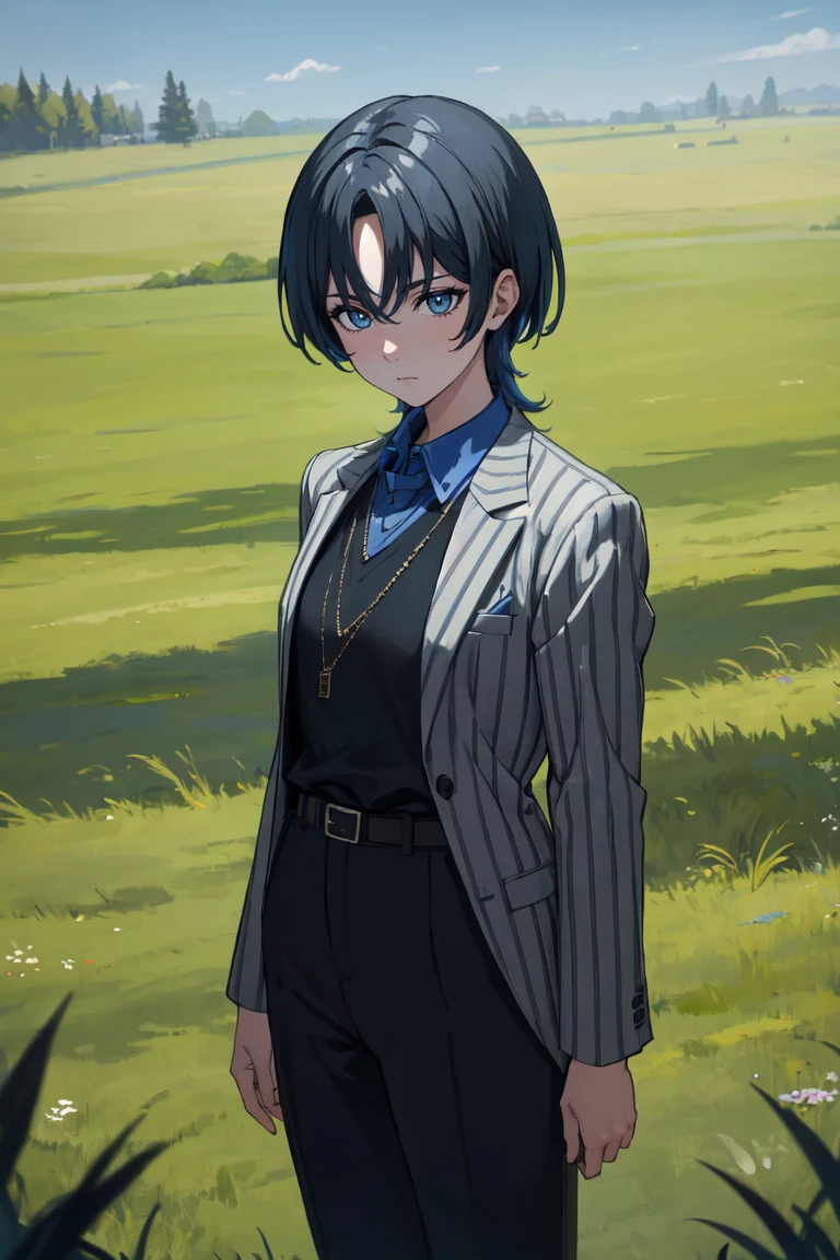 masterpiece, best quality, absurdres, HiodoshiAo, parted bangs, formal, striped jacket, collared shirt, necklace, belt, black pants, expressionless, outdoors, open field, grass, standing, <lora:HiodoshiAo:1>