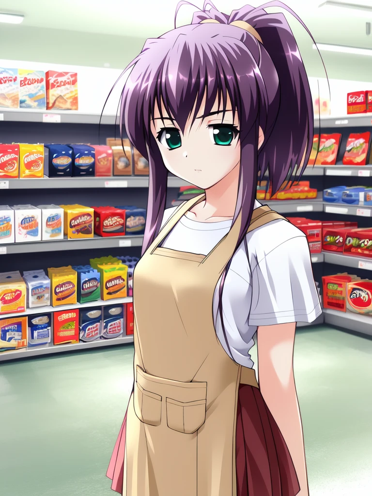 <lora:ImazekiRinko:0.8>			(masterpiece:1.3), (best quality:1.3), (hires, high resolution:1.3), 1girl (white, loose t-shirt),  (stern:1.2)
ImazekiRinko, 1girl, solo, purple hair, apron, ponytail, shop, arms behind back, blue eyes, skirt, green eyes, pantyhose