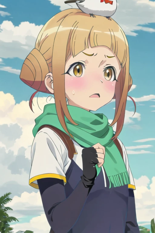 best quality, masterpiece, highres, solo, {takahata_nodoka_alicegearaegisexpansion:1.15}, hair_bun, blush, double_bun, bangs, blonde_hair, yellow_eyes, open_mouth, brown_hair, 1girl, animal, bird, green_scarf, scarf, short_hair, brown_eyes, frown, outdoors, v-shaped_eyebrows, upper_body, animal_on_head, animal_on_shoulder, bird_on_head, bird_on_shoulder, cloud, fingerless_gloves, gloves, on_head, sky, sweatdrop