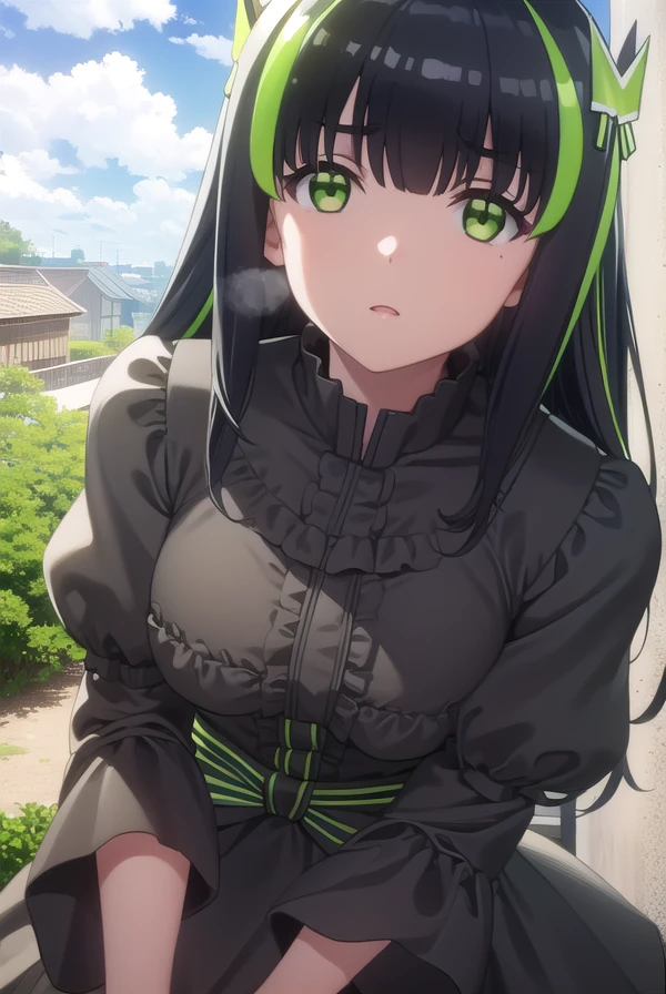 bofurimay, <lora:bofuri may s2-lora-nochekaiser:1>,
may, long hair, bangs, black hair, hair ornament, bow, (green eyes:1.5), multicolored hair, green hair, two-tone hair, streaked hair,
BREAK long sleeves, dress, frills, striped, puffy sleeves, black dress, sleeves past wrists, juliet sleeves,
BREAK outdoors, forest, nature, sky, sun, clouds,
BREAK looking at viewer,
BREAK <lyco:GoodHands-beta2:1>, (masterpiece:1.2), best quality, high resolution, unity 8k wallpaper, (illustration:0.8), (beautiful detailed eyes:1.6), extremely detailed face, perfect lighting, extremely detailed CG, (perfect hands, perfect anatomy),