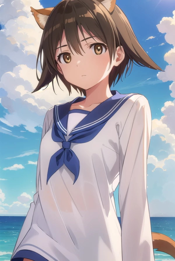 yoshikamiyafuji, <lora:yoshika miyafuji anime-lora-nochekaiser:1>,
yoshika miyafuji, short hair, brown hair, animal ears, (brown eyes:1.5), dog ears, dog tail, dog girl,
BREAK school uniform, serafuku, shirt, white shirt, long sleeves, blue sailor collar, neckerchief, blue neckerchief,
BREAK outdoors, ship, ocean, sun, sky, clouds,
BREAK looking at viewer, (cowboy shot:1.5),
BREAK <lyco:GoodHands-beta2:1>, (masterpiece:1.2), best quality, high resolution, unity 8k wallpaper, (illustration:0.8), (beautiful detailed eyes:1.6), extremely detailed face, perfect lighting, extremely detailed CG, (perfect hands, perfect anatomy),