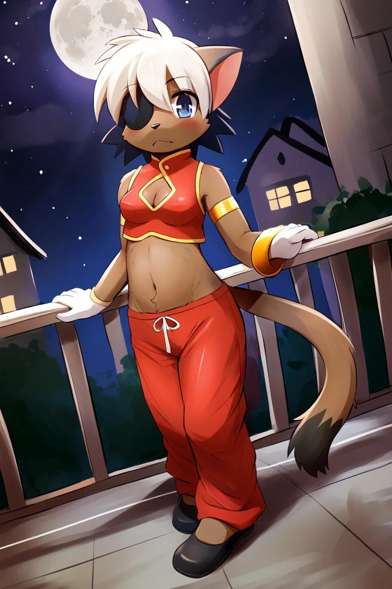 Alicia, 1girl, solo, by yousan, dutch angle, straight-on, full body, short hair, closed mouth, :<, medium breasts, navel, cleavage, blue eyes, full body, furry female, (body fur, detailed fur:1.3), white hair, sleeveless, standing, leaning against rail, midriff, cat ears, white gloves, brown fur, two-tone hair, black footwear, clothing cutout, eyepatch, cleavage cutout, multicolored hair, black hair, blonde hair, dyed bangs, armlet, red shirt, red pants, tail, animal nose, (masterpiece, best quality:1.3), illumination, detailed background, moon, stars, night, (dark:1.4), outdoors, balcony, town <lora:AliciaPris:.9>