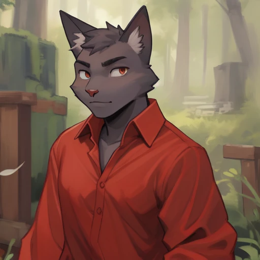 masterpiece, detailed, <lora:narinder:0.8>, narinder, furry, solo, cat boy, long sleeves, red shirt, long shirt