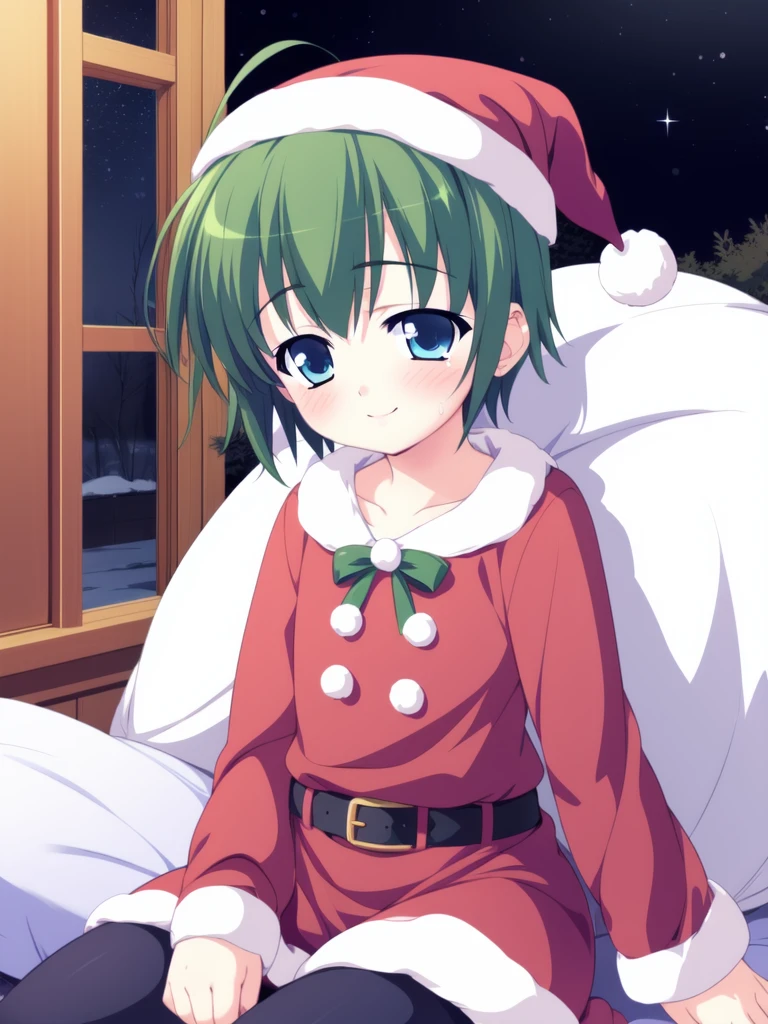<lora:SakurazawaKeito:0.8>,SakurazawaKeito, green hair, blue eyes, short hair, ahoge, 1boy, soro, smile, blush,
Christmas, SantaClaus, hat, night, starry sky, sitting,
masterpiece, high quality, very_high_resolution, large_filesize, full color,