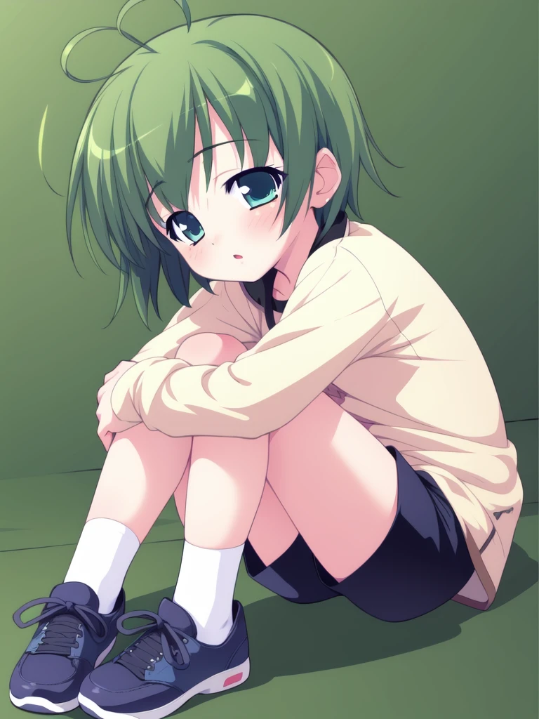 <lora:SakurazawaKeito:0.8>, SakurazawaKeito, solo, green hair, 1girl, short hair, ahoge, shorts, green eyes, full body, child, blue eyes, socks,
masterpiece, high quality, very_high_resolution, large_filesize, full color,