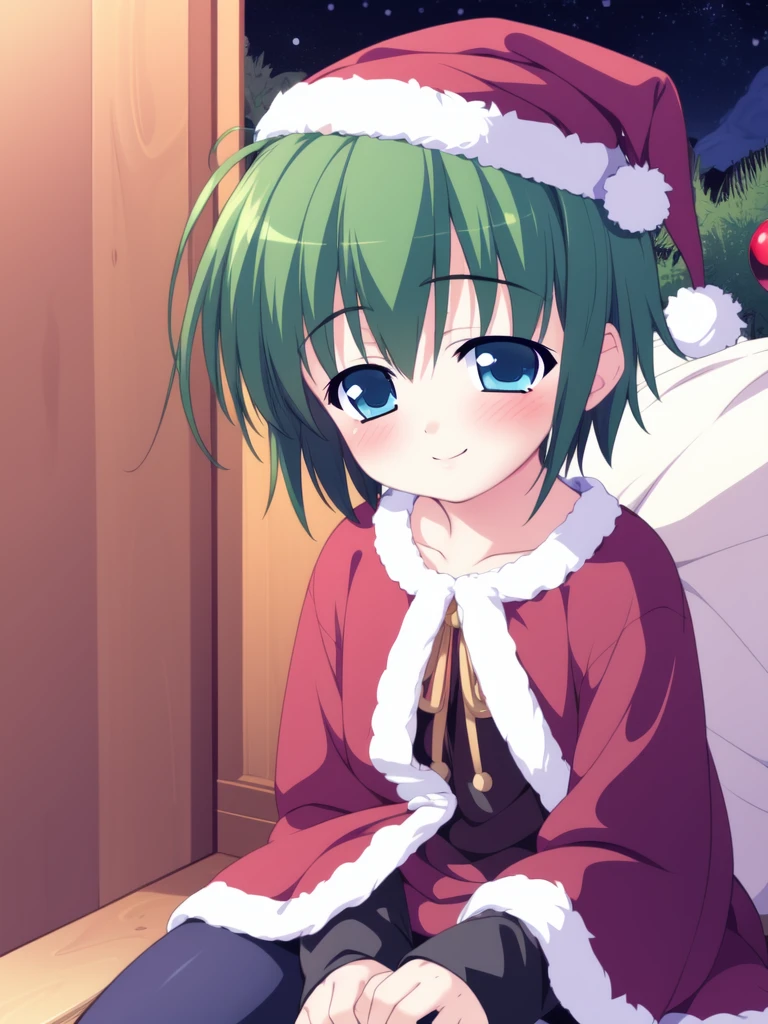 <lora:SakurazawaKeito:0.8>,SakurazawaKeito, green hair, blue eyes, short hair, ahoge, 1boy, soro, smile, blush,
Christmas, SantaClaus, hat, night, starry sky, sitting,
masterpiece, high quality, very_high_resolution, large_filesize, full color,