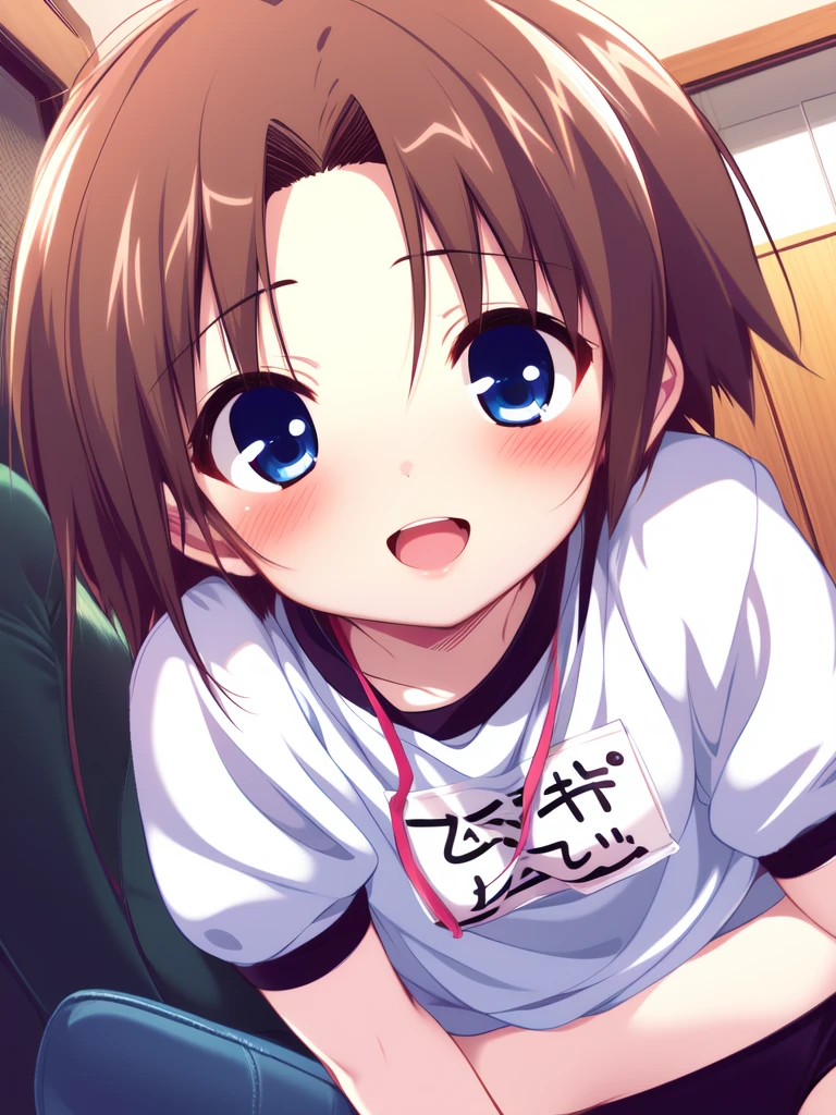 <lora:Shiki_Akimi:0.8>shikiakimi, blue eyes, brown hair, short hair, 1boy, soro, blush, smile, otoko no ko,
buruma, blush, gym uniform, smile, open mouth, name tag, child, 
masterpiece, high quality, very_high_resolution, large_filesize, full color,