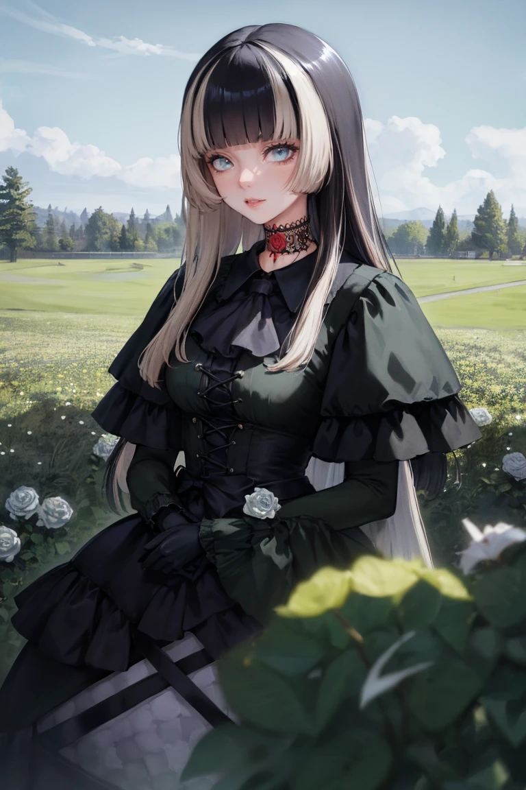 masterpiece, best quality, absurdres, RadenBase, choker, black dress, frills, long sleeves, black gloves, standing, outdoors, field, grass, roses, <lora:JuufuuteiRaden:1>