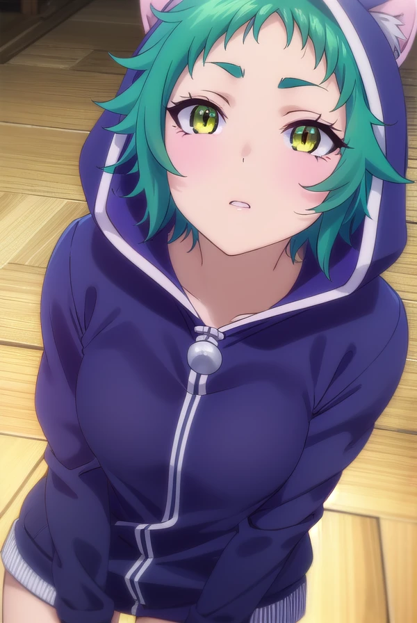 yayafushiguro, <lora:yaya fushiguro s1-lora-nochekaiser:1>,
yaya fushiguro, short hair, (green eyes:1.3), green hair,
BREAK long sleeves, hood, hoodie, animal hood, track suit, cat hood,
BREAK outdoors, onsen, hot spring,
BREAK looking at viewer, (cowboy shot:1.5),
BREAK <lyco:GoodHands-beta2:1>, (masterpiece:1.2), best quality, high resolution, unity 8k wallpaper, (illustration:0.8), (beautiful detailed eyes:1.6), extremely detailed face, perfect lighting, extremely detailed CG, (perfect hands, perfect anatomy),