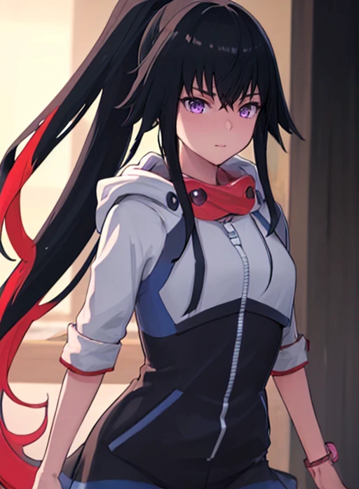 best quality, (masterpiece),(ultra-detailed), (high quality), (high resolution),  <lora:shiki:0.7> shiki, long hair, black hair, purple eyes, multicolored hair, ponytail, hood,