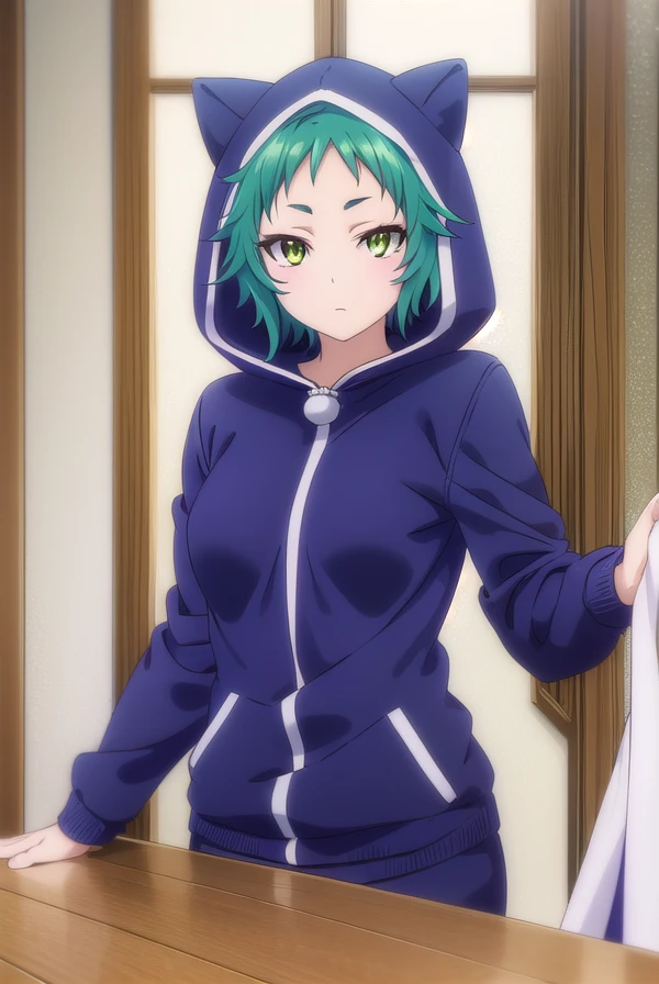 yayafushiguro, <lora:yaya fushiguro s1-lora-nochekaiser:1>,
yaya fushiguro, short hair, (green eyes:1.3), green hair,
BREAK long sleeves, hood, hoodie, animal hood, track suit, cat hood,
BREAK outdoors, onsen, hot spring,
BREAK looking at viewer, (cowboy shot:1.5),
BREAK <lyco:GoodHands-beta2:1>, (masterpiece:1.2), best quality, high resolution, unity 8k wallpaper, (illustration:0.8), (beautiful detailed eyes:1.6), extremely detailed face, perfect lighting, extremely detailed CG, (perfect hands, perfect anatomy),