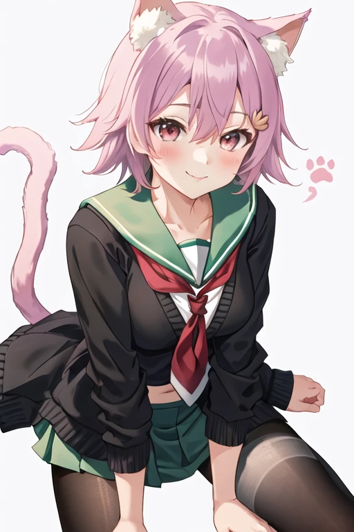 best quality, masterpiece, highres, solo, {tama_kantaicollection:1.15}, short_hair, red_eyes, pink_hair, serafuku, blush, purple_hair, hair_between_eyes, breasts, 1girl, animal_ears, cardigan, cat_ears, cat_tail, long_sleeves, neckerchief, red_neckerchief, sailor_collar, school_uniform, smile, tail, twitter_username, black_cardigan, green_sailor_collar, looking_at_viewer, pantyhose, paw_pose, simple_background, white_background, black_pantyhose, closed_mouth