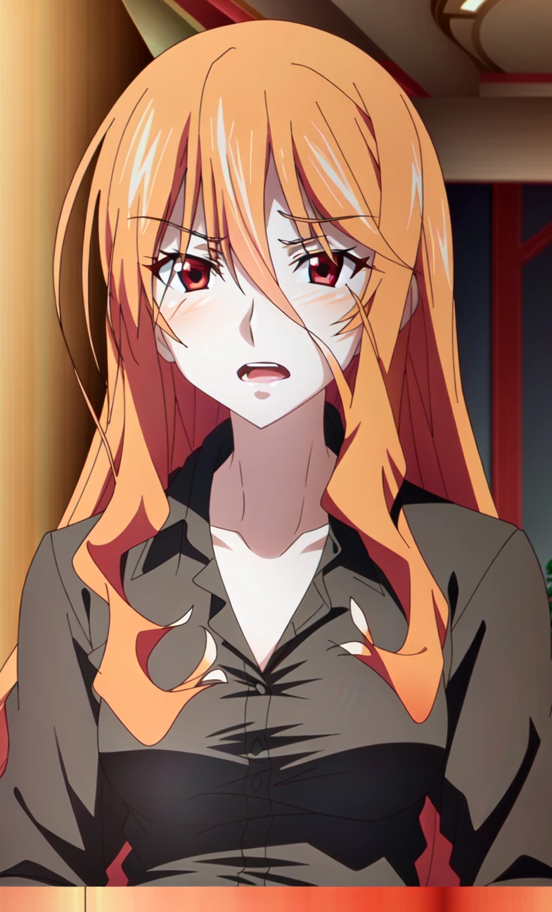 Autumn | Infinite Stratos