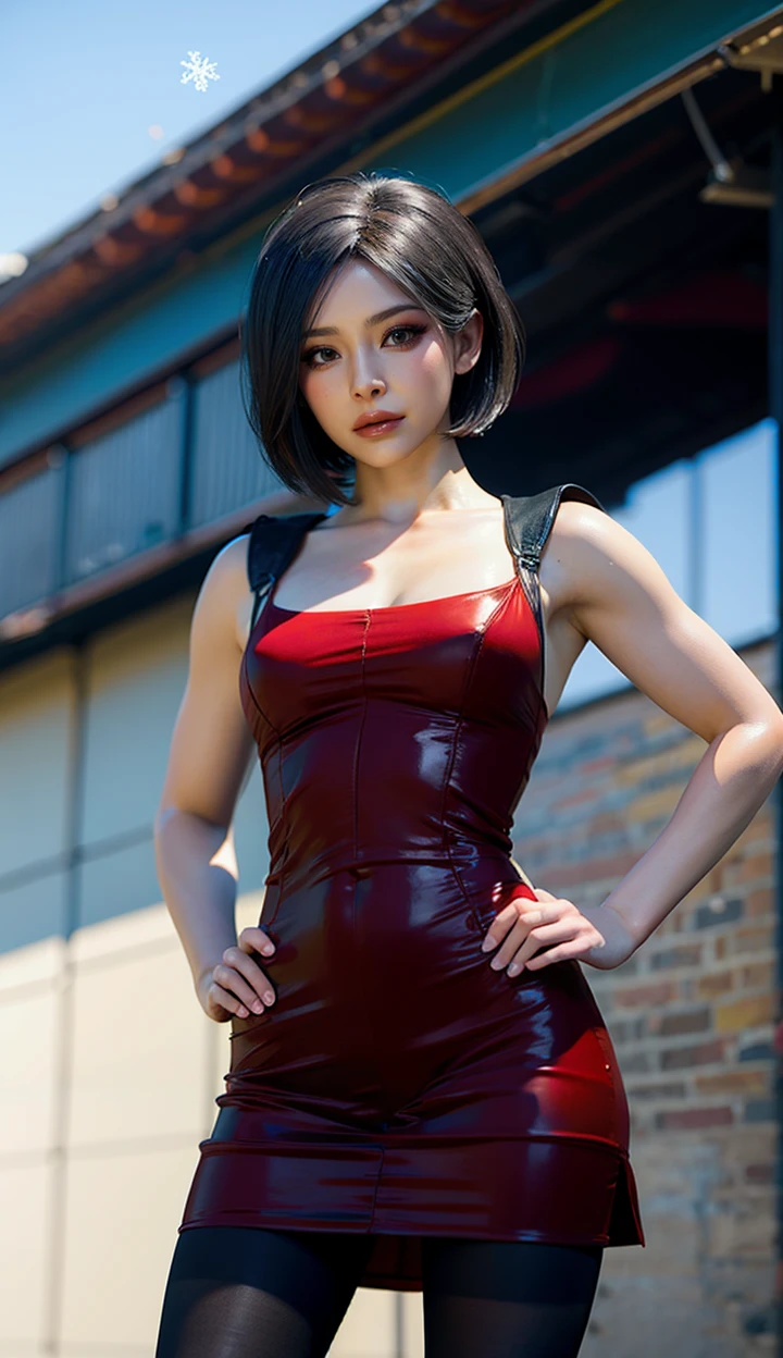 1girl,pantyhose,solo,short hair,red dress,brown eyes,hand on hip,black hair,looking at viewer,blurry background,standing,snowflakes,cowboy_shot,front view,ada wang,<lora:adawang-000005:0.7>,<lora:add_detail:0.3>,from_below,