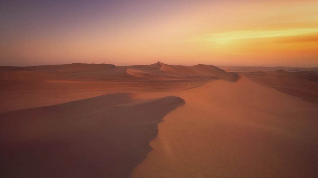 landscape of desert at sunset