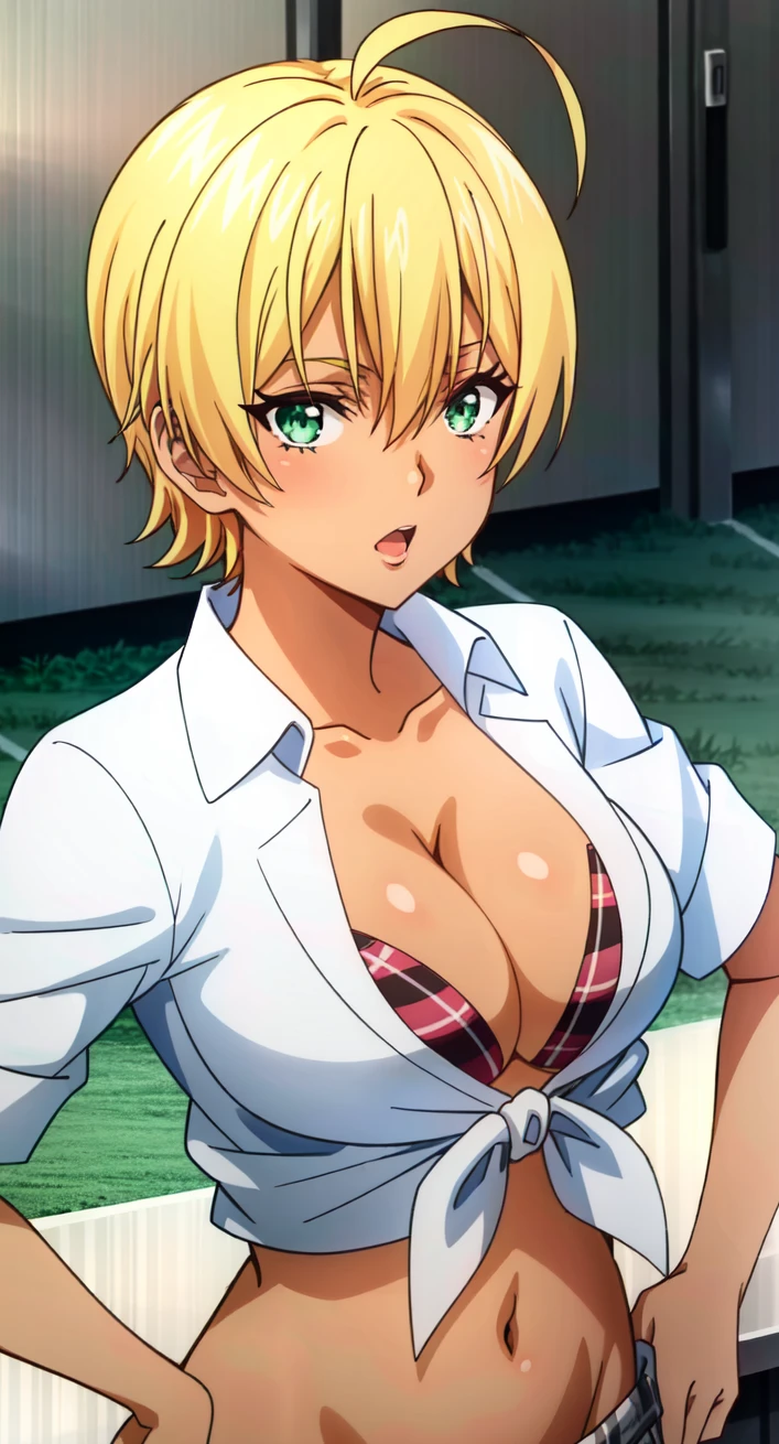 (extremely detailed CG unity 4k wallpaper),(anime coloring),(masterpiece),(best quality),(ultra-detailed),(best illustration),(best shadow),(absurdres),(detailed background), <lora:OGT_Ikumi_Mito-v1:0.7> Ikumi Mito, 1girl, blonde hair, breasts, solo, short hair, ahoge, cleavage, green eyes, dark skin, large breasts, dark-skinned female, swimsuit, bikini, skirt, navel, hands on hips, plaid, midriff, shirt
