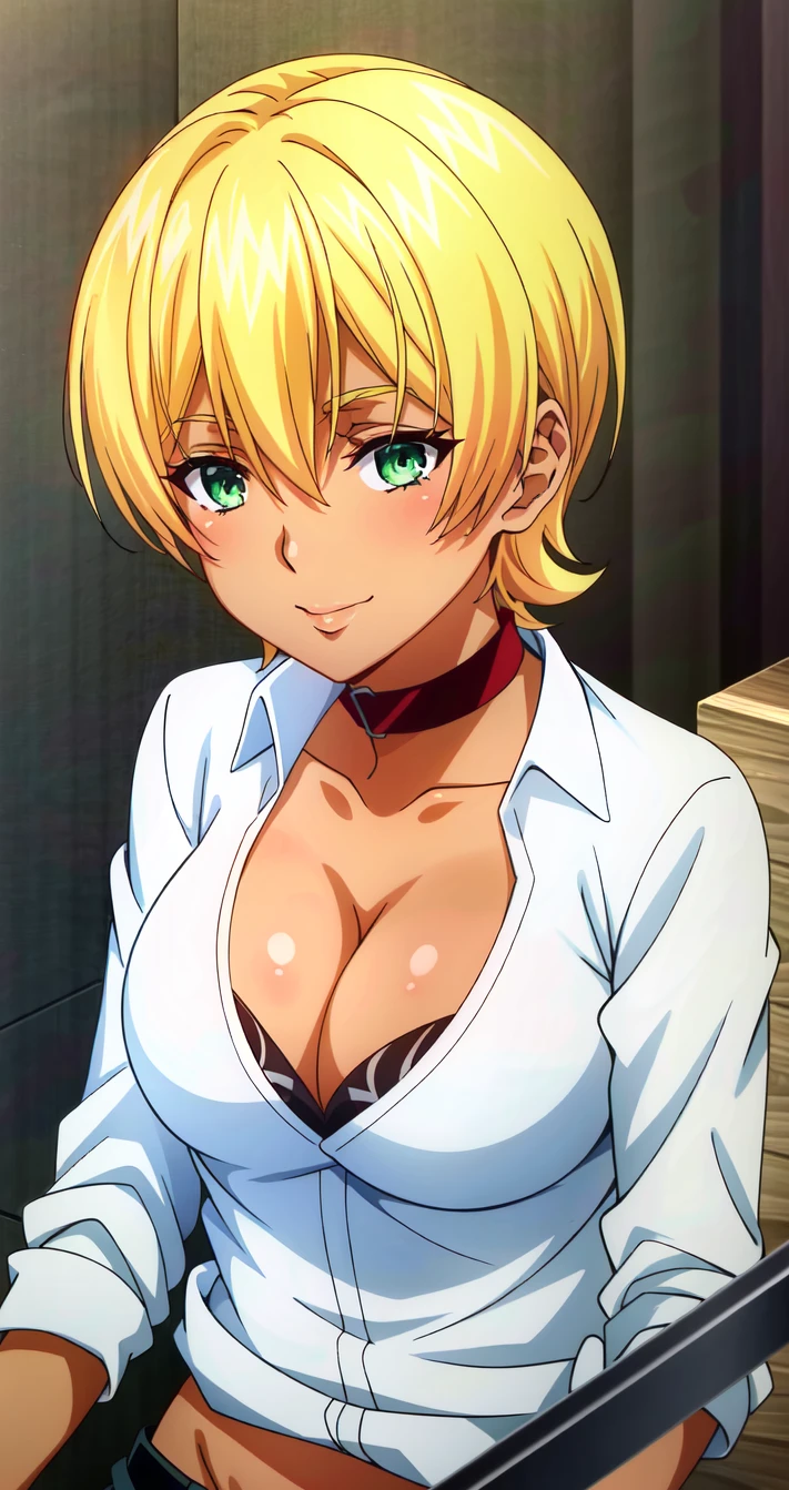 (extremely detailed CG unity 4k wallpaper),(anime coloring),(masterpiece),(best quality),(ultra-detailed),(best illustration),(best shadow),(absurdres),(detailed background), <lora:OGT_Ikumi_Mito-v1:0.7> Ikumi Mito, 1girl, solo, blonde hair, green eyes, short hair, dark skin, dark-skinned female, collar, shirt, cleavage, breasts, smile
