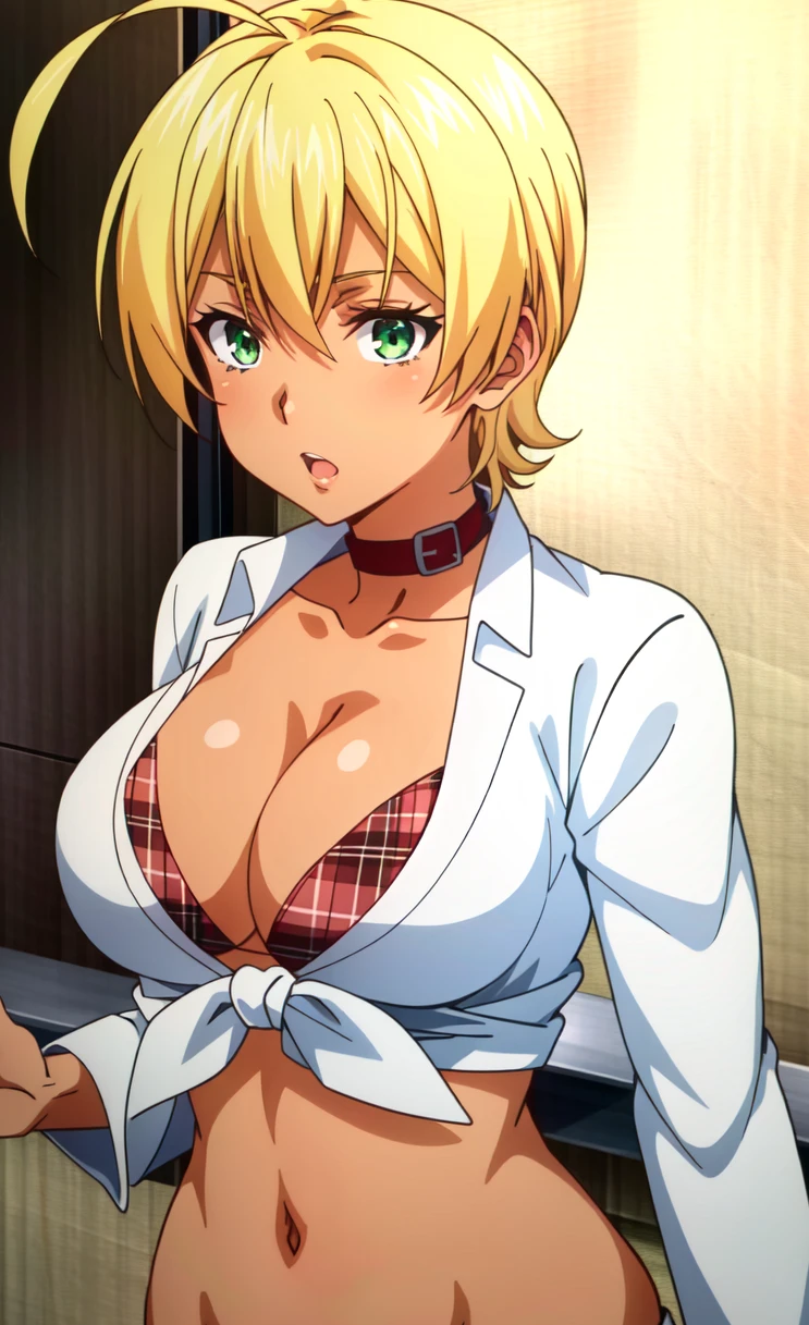 (extremely detailed CG unity 4k wallpaper),(anime coloring),(masterpiece),(best quality),(ultra-detailed),(best illustration),(best shadow),(absurdres),(detailed background), <lora:OGT_Ikumi_Mito-v1:0.7> Ikumi Mito, 1girl, blonde hair, breasts, solo, short hair, ahoge, cleavage, green eyes, dark skin, large breasts, dark-skinned female, swimsuit, bikini, skirt, navel, cowboy shot, plaid, midriff, shirt