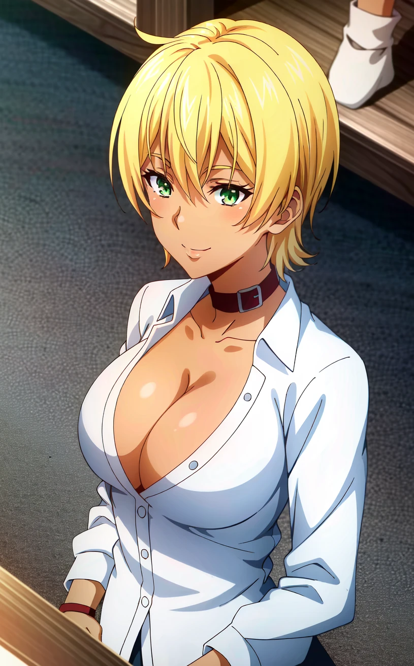 (extremely detailed CG unity 4k wallpaper),(anime coloring),(masterpiece),(best quality),(ultra-detailed),(best illustration),(best shadow),(absurdres),(detailed background), <lora:OGT_Ikumi_Mito-v1:0.7> Ikumi Mito, 1girl, solo, blonde hair, green eyes, short hair, dark skin, dark-skinned female, collar, shirt, cleavage, breasts, smile