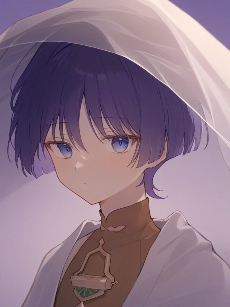 <lora:æ£åµ:1>ï¼1boy, solo, male_focus, short_hair, closed_mouth, gradient, bangs, veil, purple_hair, gradient_background, mandarin_collar, blue_eyes,