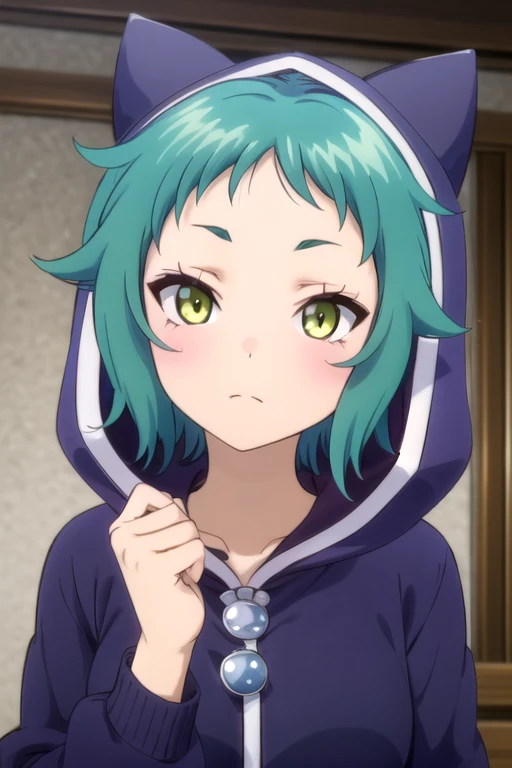 (((pixel-perfect, detail-perfect))), solo, 1girl, <lora:yaya-hotsprings-01:0.8>, yaya fushiguro, hoodie, cat hood, looking at viewer, closed mouth, upper body