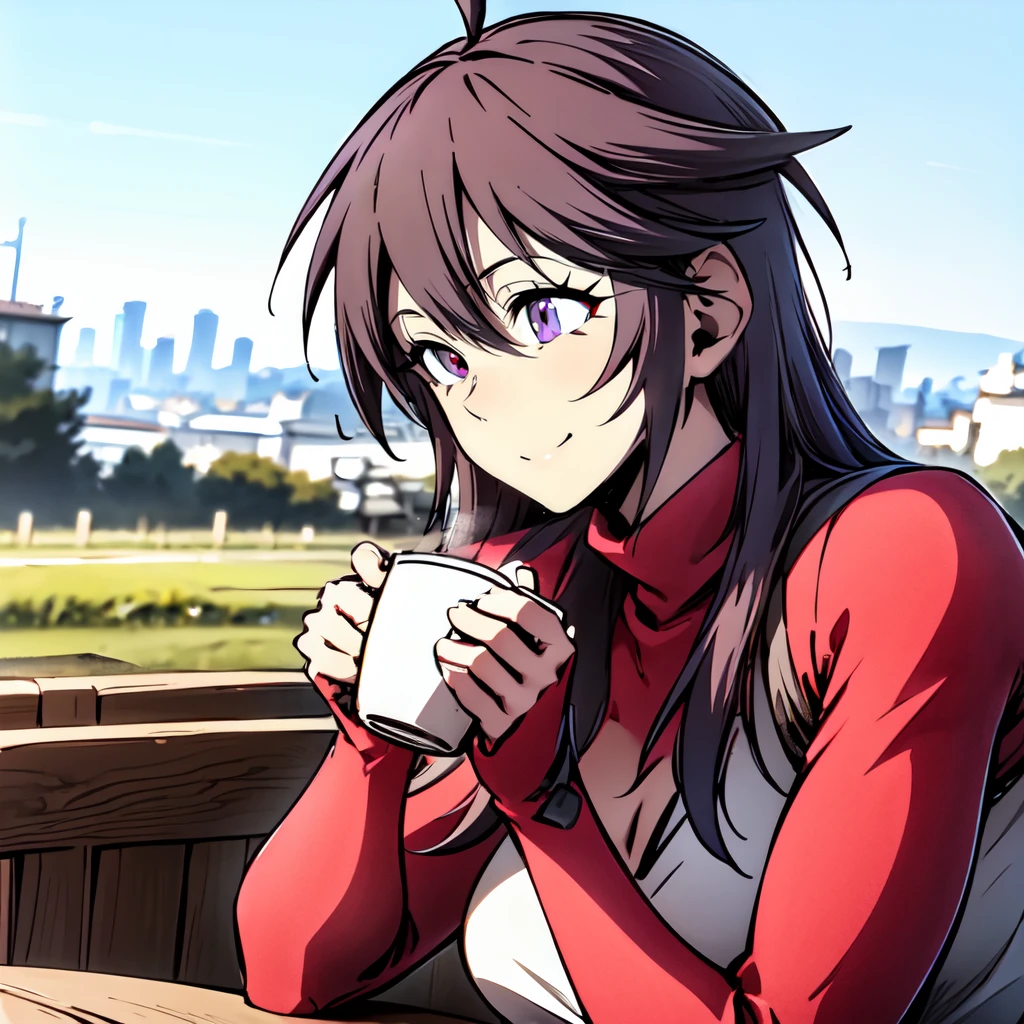 sfw, sitting in a cafe holding  a cup of tea, ((wearing red sweater)), upper body, coast in background<lora:Violetv2LoRA:1> violet,beautiful eyes, beautiful girl, high detail skin, high detail eyes, high detail hair, highres, ultra detailed, sharpen picture, Highly detailed, masterpiece, best quality, photorealistic, smile