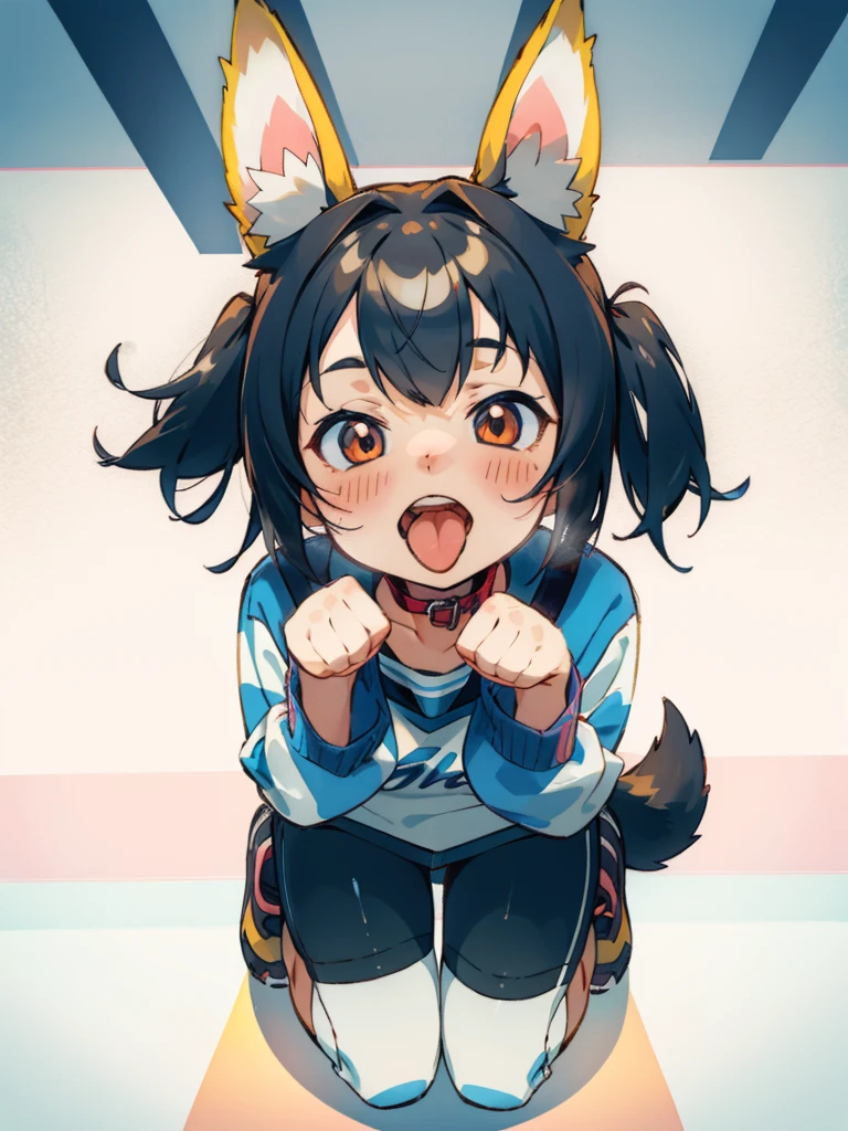 <lora:nk2007-40:1>collar, leash, dog girl, dog ears, dog tail, squatting, happy, open mouth, tongue, blush, paw pose, looking up, looking at viewer, masterpiece, best quality