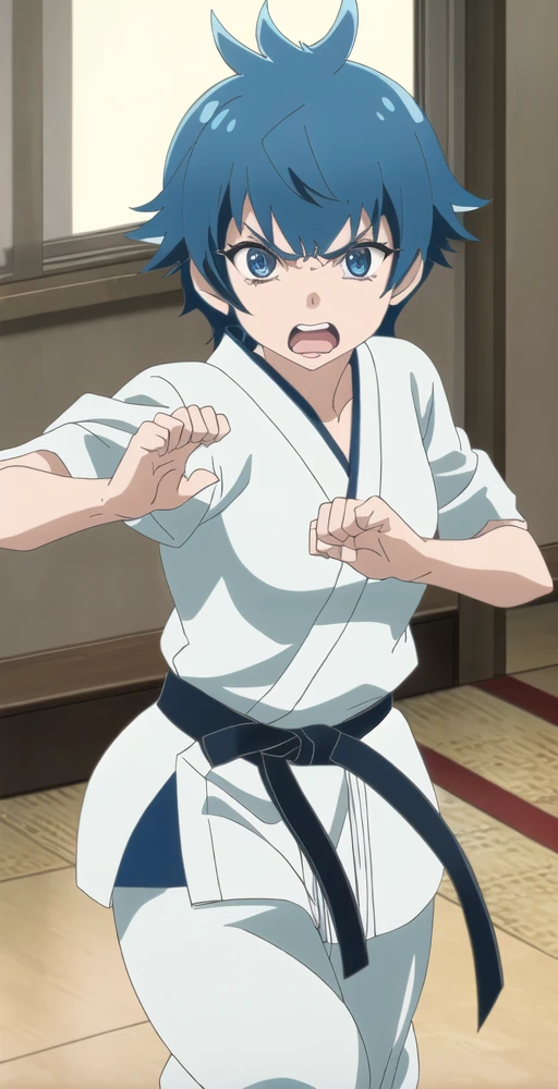 AA, 1girl, solo, portrait, angry, wearing gi, karate temple, karate pose, perfect quality, good quality, masterpiece, HDR, UHD <lora:Akua Aino:0.8>