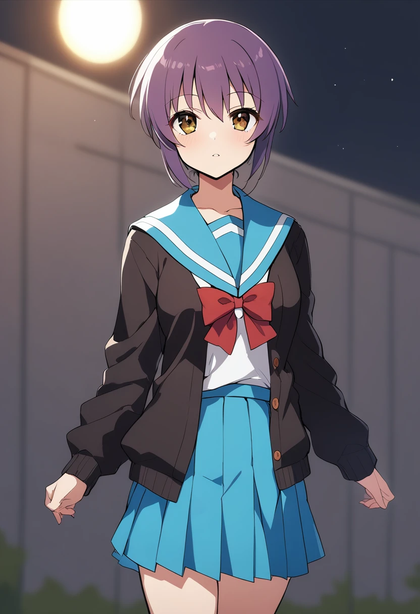 1girl, nagato yuki, suzumiya haruhi no yuuutsu, cowboy shot, black cardigan, blue sailor collar, blue skirt, bow, brown eyes, cardigan, purple hair, looking at viewer, open cardigan, open clothes, red bow, sailor collar, school uniform, serafuku, shirt, skirt, solo, standing, night, bright eyes, white shirt, masterpiece, best quality, <lora:Char - Nagato Yuki - v1 - Bionagato>