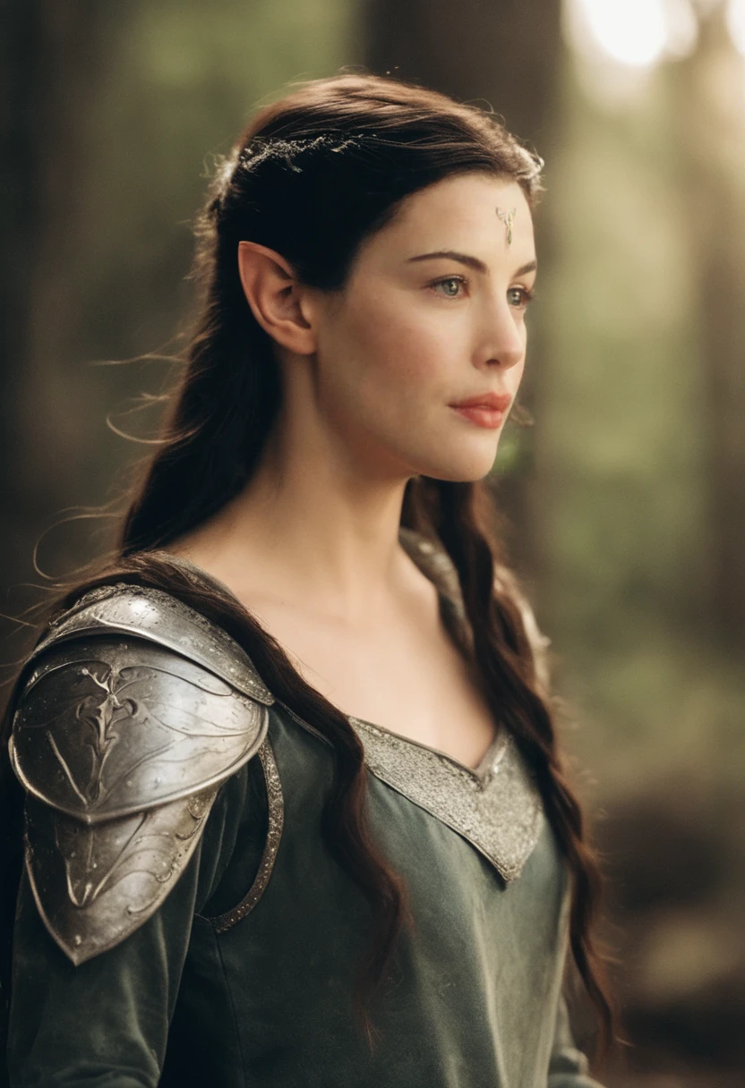 (full body shot) of liv_arwen dressed as an elf warrior princess,( medieval armor:2.0),( platemail:2.0), cinematic lighting, bokeh, highly detailed, cinematic film still, epic, gorgeous, (pointed ears:0.8), ethereal elven beauty, <lora:arwen_prodigy_sdxl_3300:0.6>
