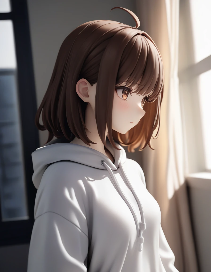 pvc figure of 1girl, upper body, hoodie, window, curtains, sunlight leaks, brown hair, medium hair, shadow, expressionless, looking outside, eyes, masterpiece, best quality, newest, late